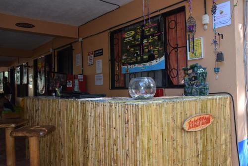 Pura Vida Mini Hostel - Tamarindo Costa Rica