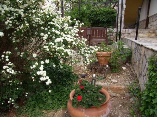 Hostal Guest House Sunce