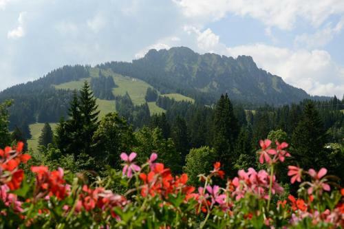 Apartments Haus Am Anger - Romantik-beauty-wellness