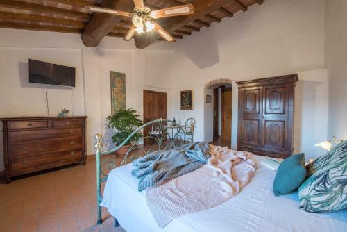 Hostal Lemon Tree Boutique Guest House