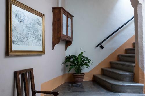 Hostal Lemon Tree Boutique Guest House
