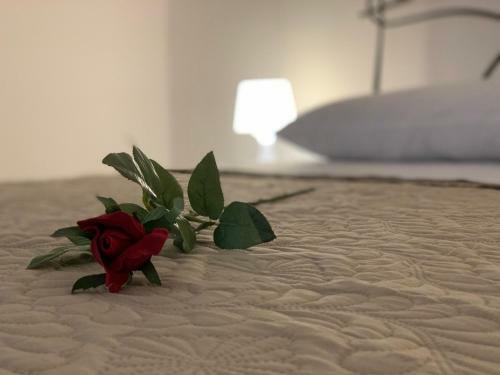 Apartamento Melito 30 - Raiola Welcome