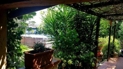 Casa Maya Con Giardino Privato