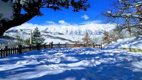 Casa Immersa Nel Verde