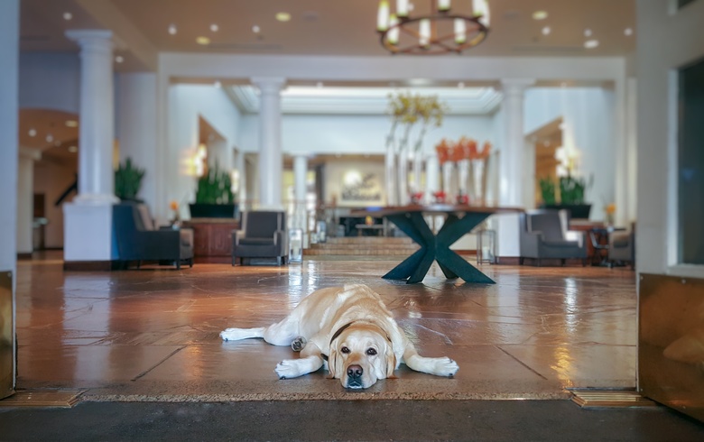 Hotel Fairmont Scottsdale Princess
