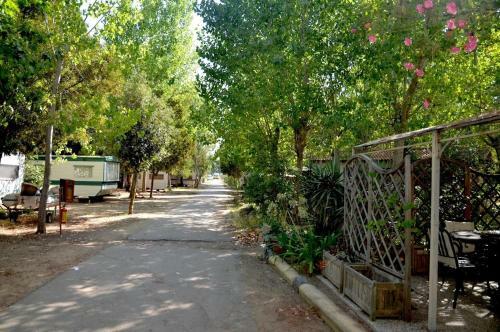 Campeggio Villaggio Sos Flores