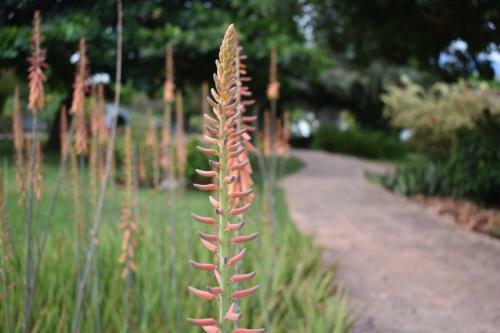 Hotel Kendwa Beach Resort