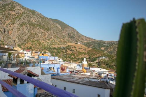 Hostal Afra House