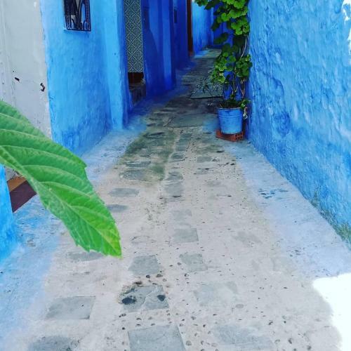 Apartamento Casa Mablu