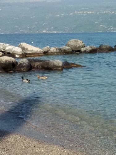 Appartamento Lido
