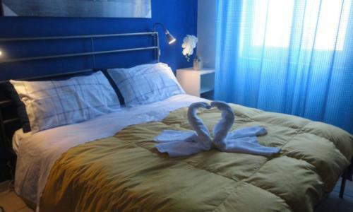 Hostal Travel And Living
