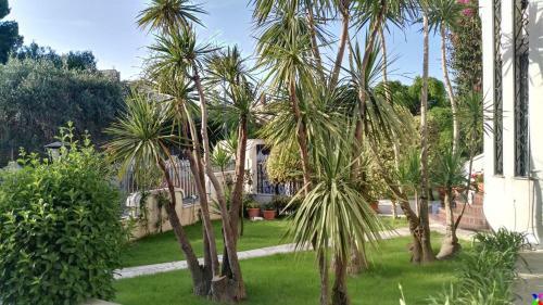 Apartamento Villa Mary - Oro