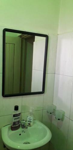 Apartamento Tulip Homes