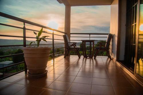 Hostal Savannah Suites