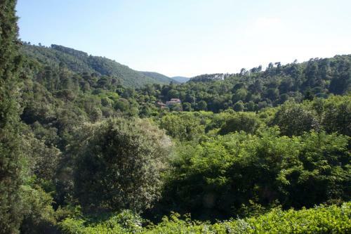 Hotel R�sidence Les 3 Barbus