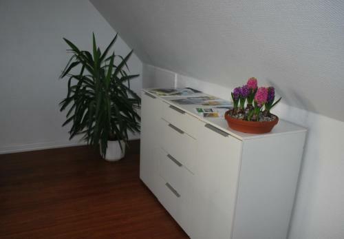 Bed & Breakfast Holmegaarden B & B-k