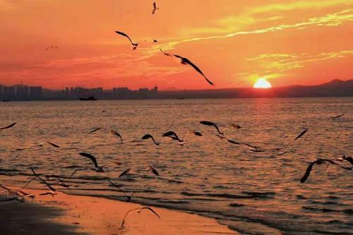 Yantai Golden Gulf Hotel