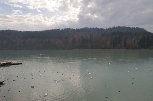Bed & Breakfast Gostisce Jezero