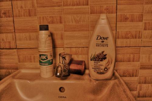 Vacation Rental Home Apartment