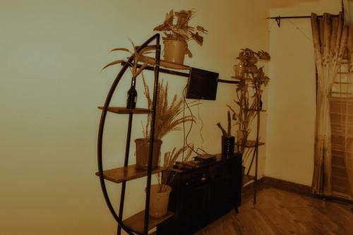 Vacation Rental Home Apartment