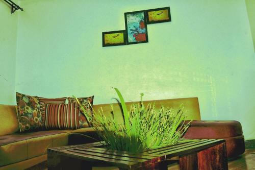 Vacation Rental Home Apartment