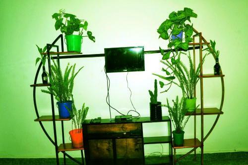 Vacation Rental Home Apartment