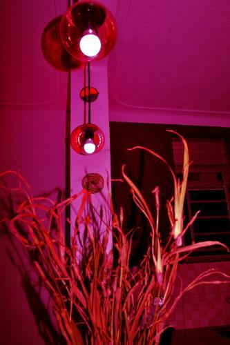 Vacation Rental Home Apartment