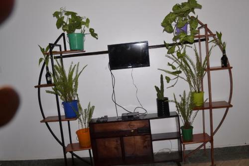 Vacation Rental Home Apartment