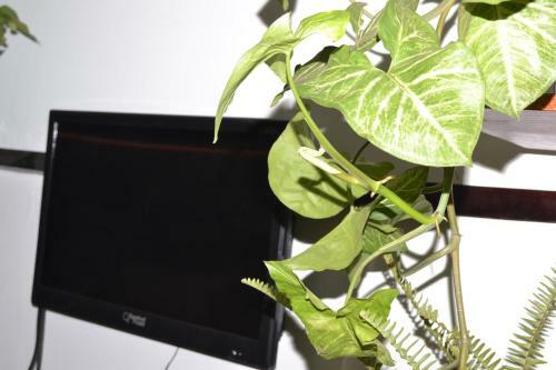 Vacation Rental Home Apartment