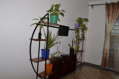 Vacation Rental Home Apartment