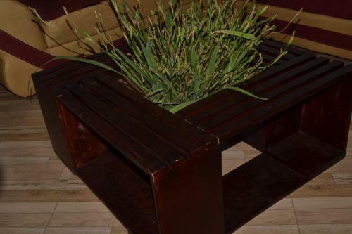 Vacation Rental Home Apartment