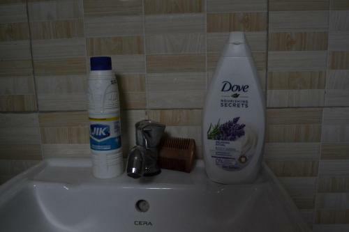 Vacation Rental Home Apartment