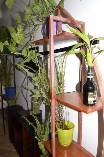 Vacation Rental Home Apartment