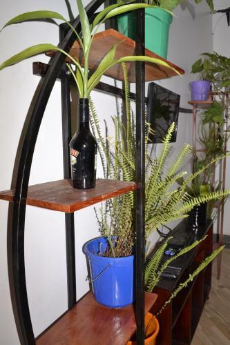 Vacation Rental Home Apartment