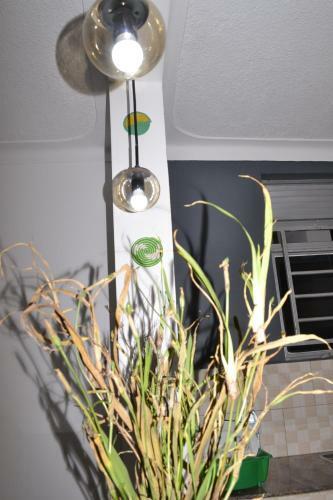 Vacation Rental Home Apartment