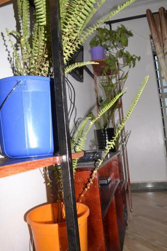 Vacation Rental Home Apartment