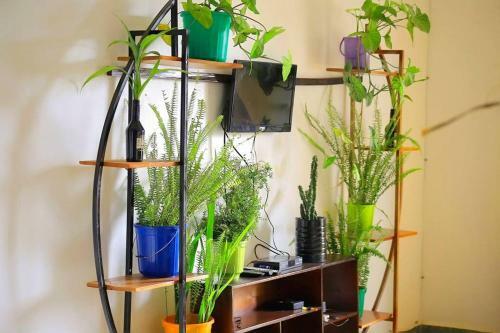 Lovie Apartment