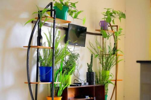 Lovie Apartment