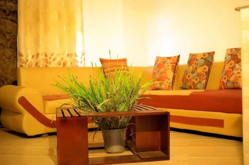 Lovie Apartment