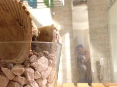 Apartamento Daria's House Taormina