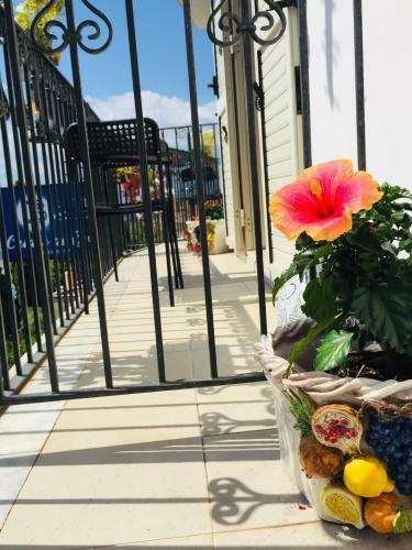 Bed & Breakfast Chiaro Di Luna