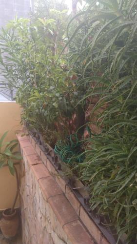 Apartamento La Bouganville