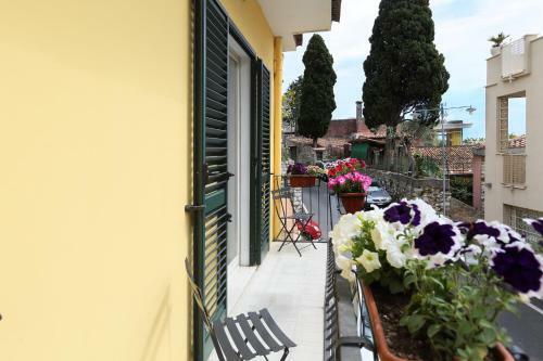 Cartolina Apartment