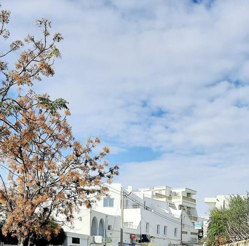 Apartamento Guesthouse Tim S2, Center Monastir