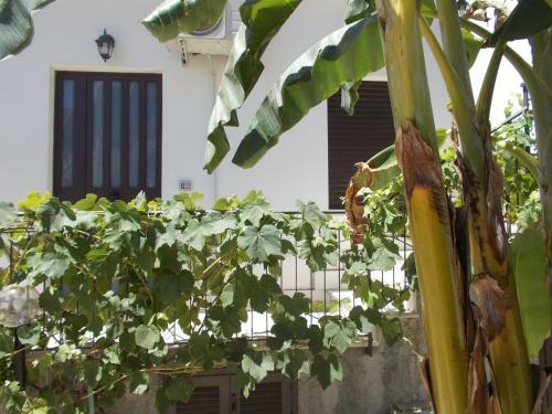 Villa Il Melograno