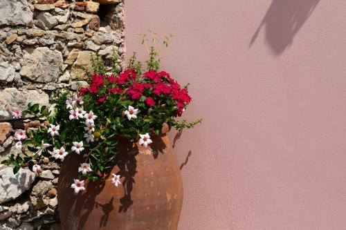 Apartamento Le Moresche Taura & Mina