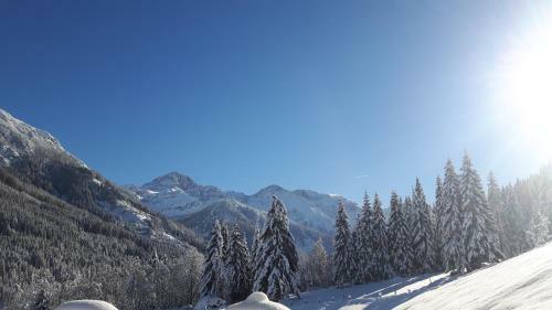 Apartamento Haus Viehhauser