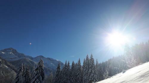 Apartamento Haus Viehhauser