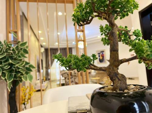 Yuloshelter Apartments