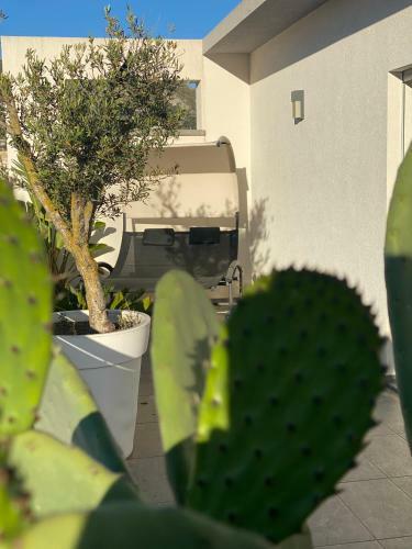 Apartamento La Finestra Su Erice